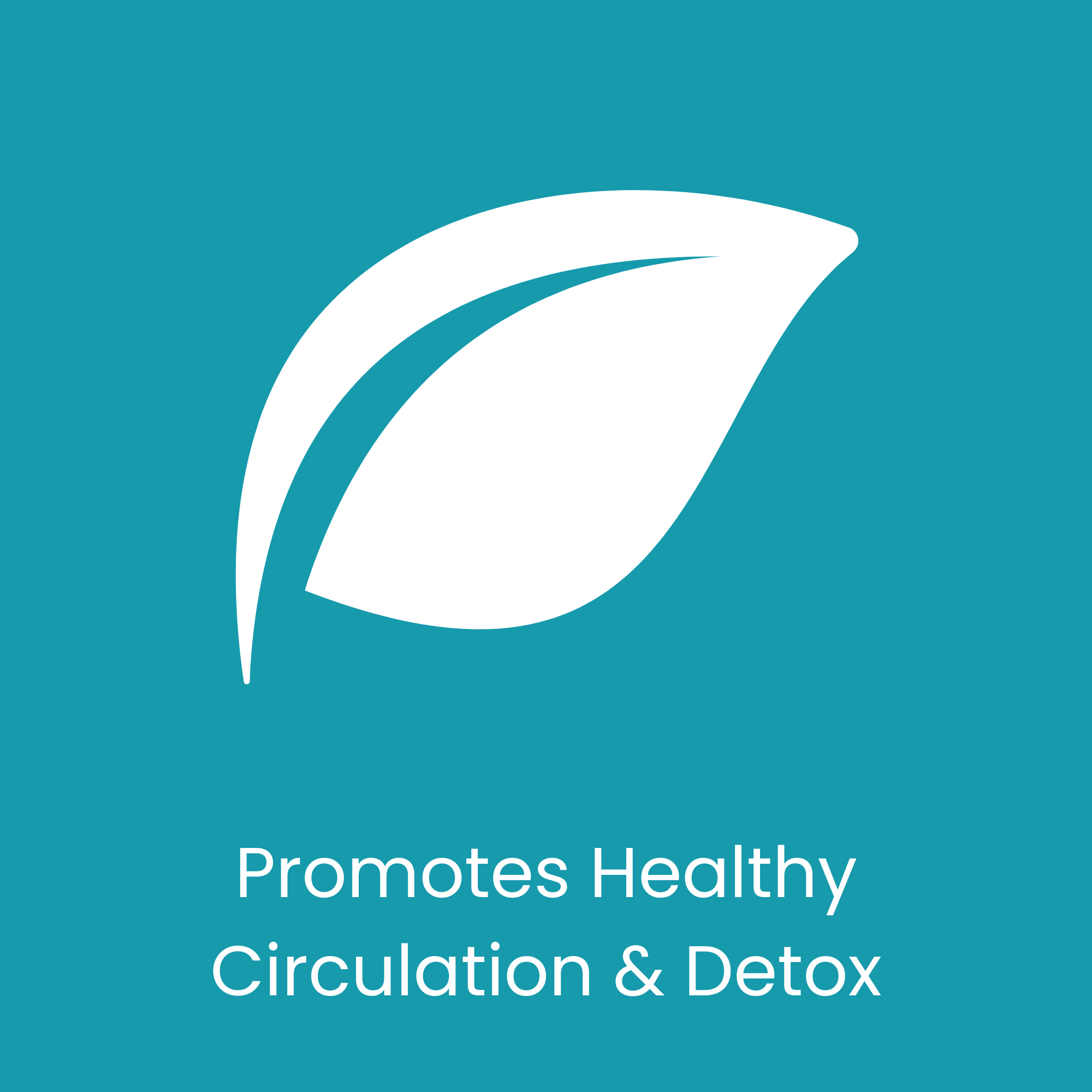 This graphic illustrates the combined benefits of the 12 natural botanical ingredients inside Lymph Tonic, highlighting how their synergy supports daily circulation, antioxidant protection, and natural fluid balance for everyday wellness.